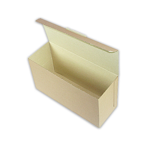 Versandkarton für 25 DVD Single-Boxen, VPE 20 Stk.